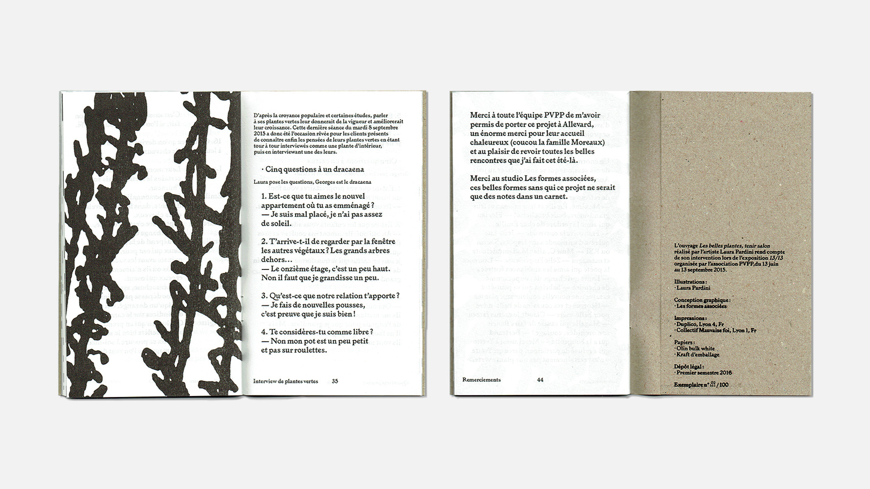 Scan des pages intérieures pour se rendre compte de la mise en page de l'édition Les belles plantes, tenir Salon de l'artiste Laura Pardini